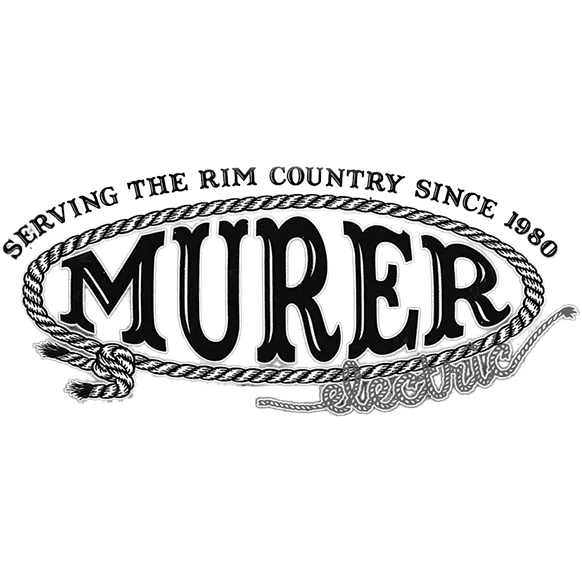 Slide of Murer Electric