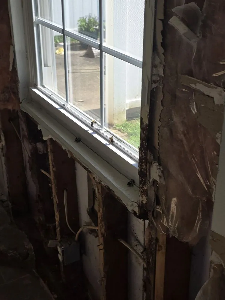 Slide of MV Remodeling