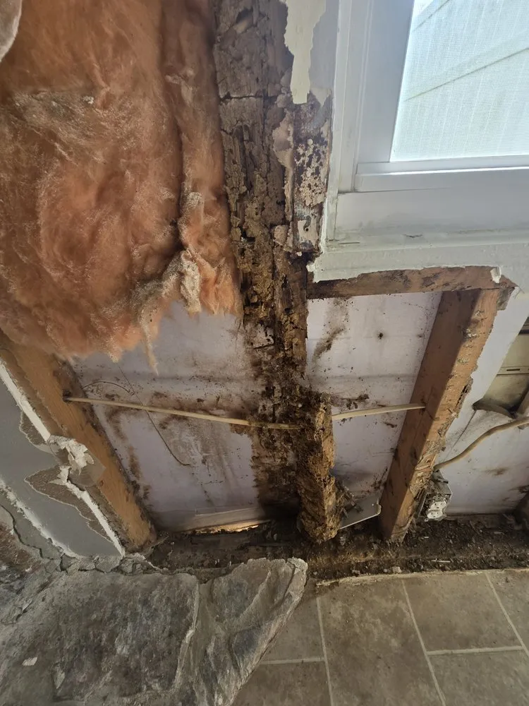 Slide of MV Remodeling