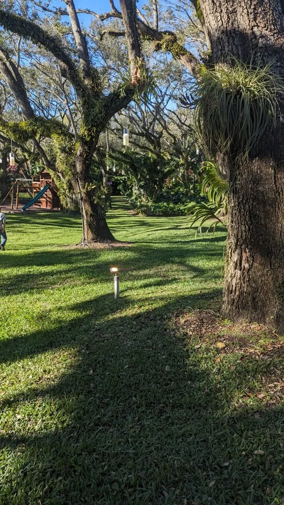 Slide of My Angel Service