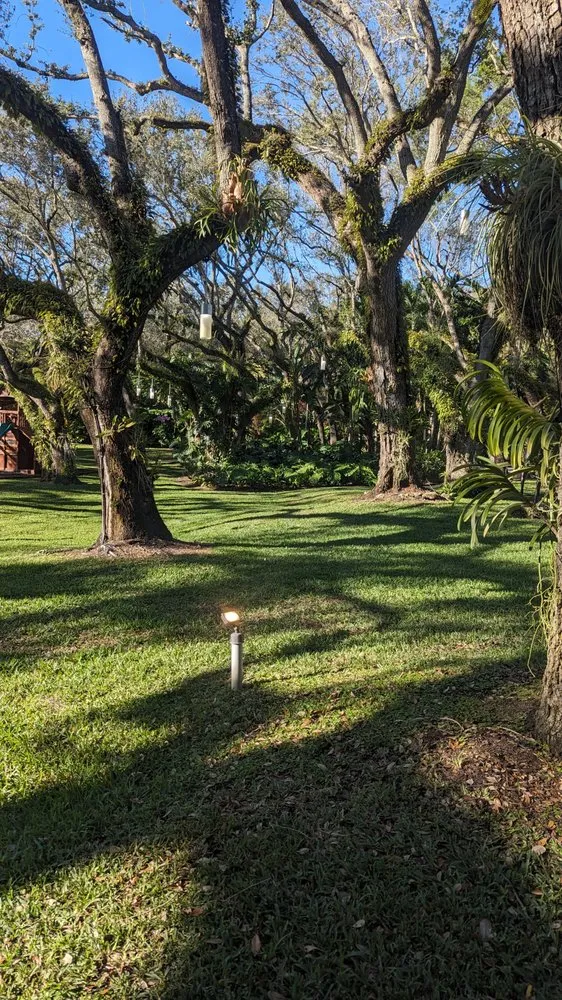 Slide of My Angel Service