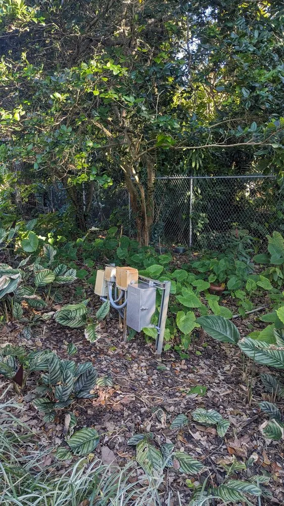 Slide of My Angel Service