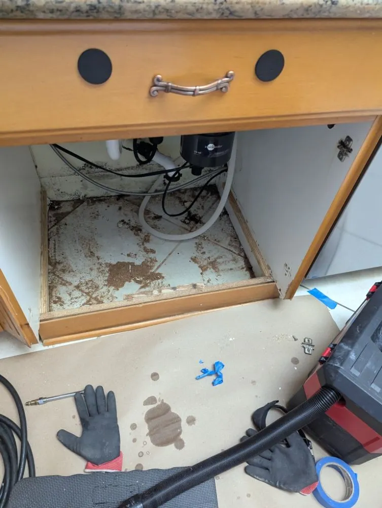 Slide of My Handyman OC