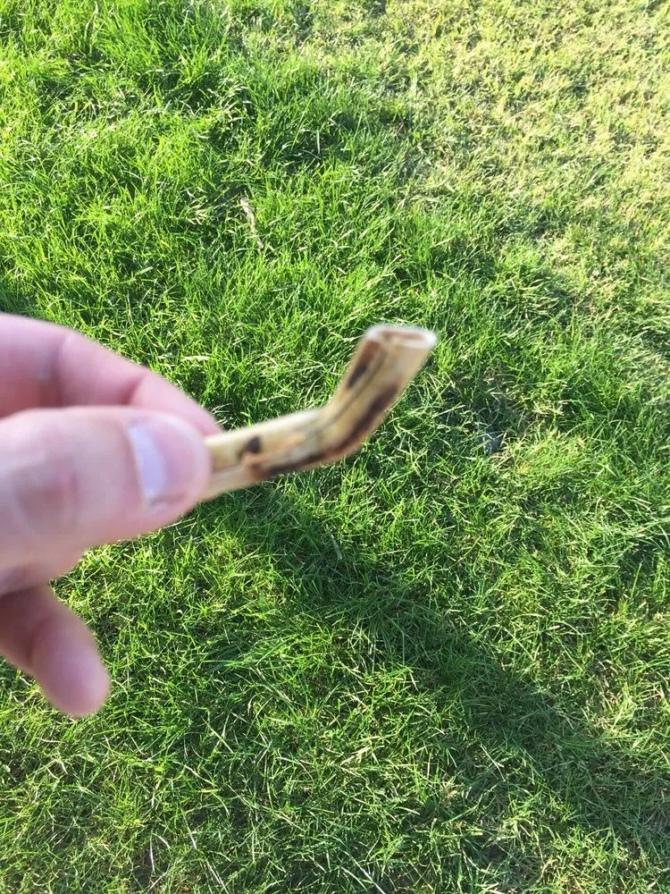 Slide of My Quiet Home