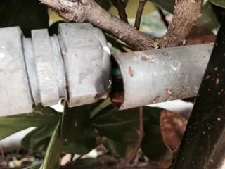 Slide of Mylestone Technologies