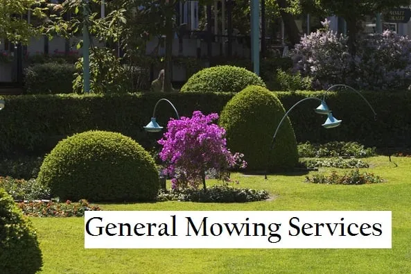 Slide of Myrtle Beach Home Services