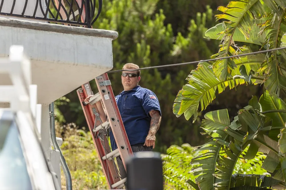 Professional electrical service for homes in outlet and switch repair,  by 