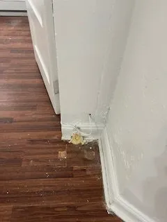 Emergency electrical repair in ,  by N B J Maintenance