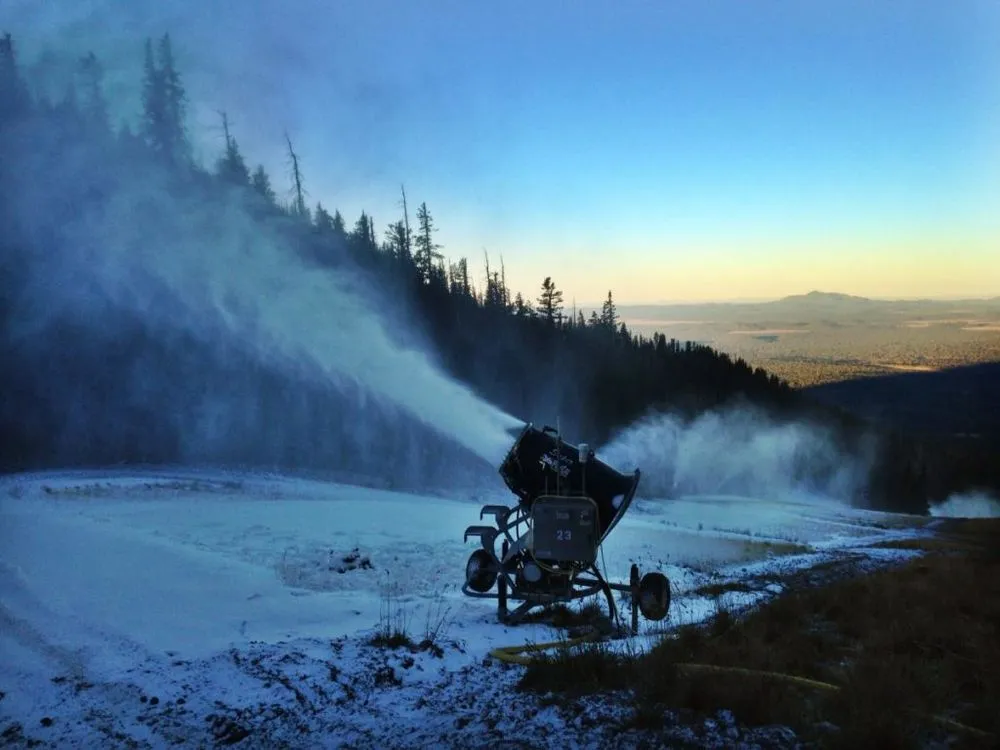 Slide of N J Shaum & Son