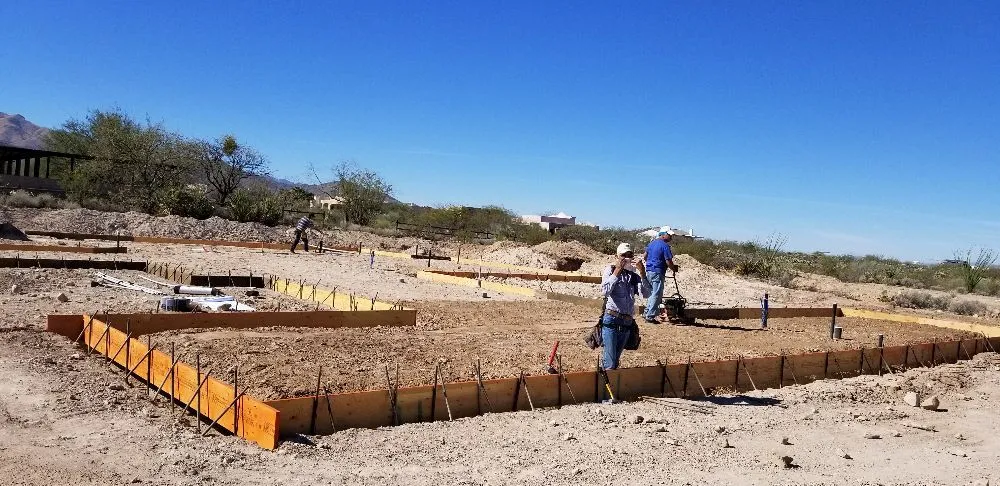 Slide of N1 Electric