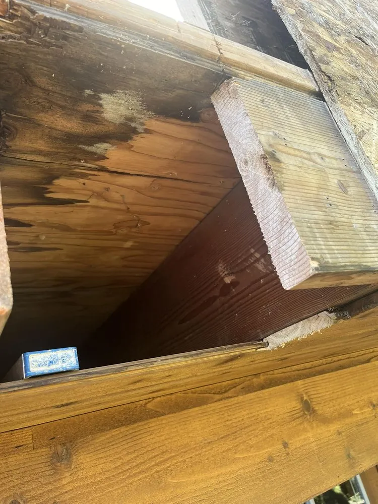 Reliable electrician providing outlet and switch repair in , 