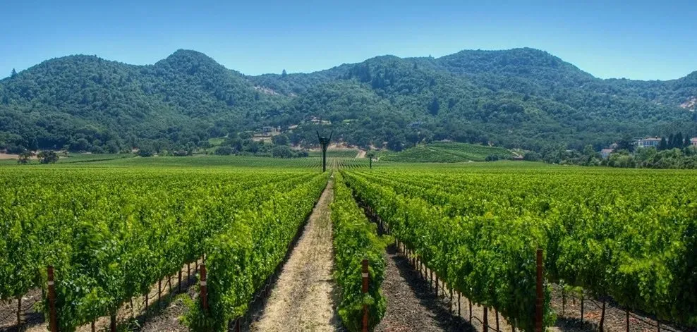 Slide of Napa Valley Electric