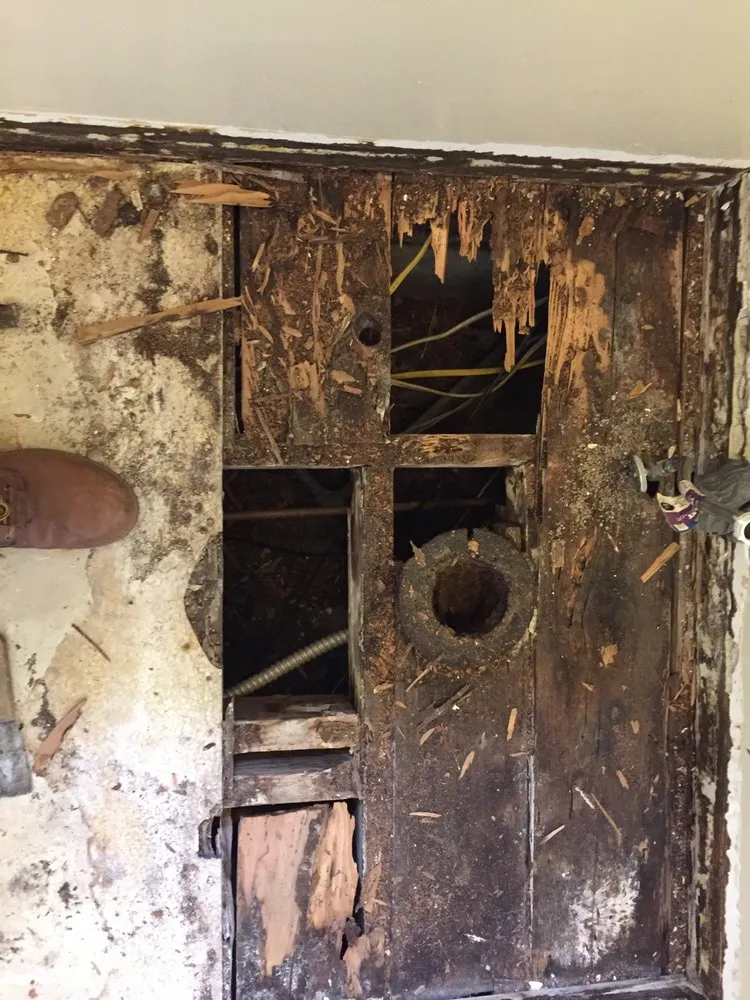 Slide of Narr's Electrical