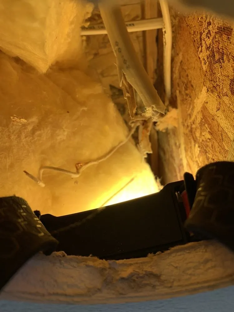 Slide of Nates Electric