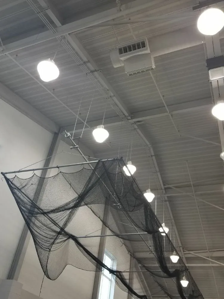 Slide of Nathaniel Electric