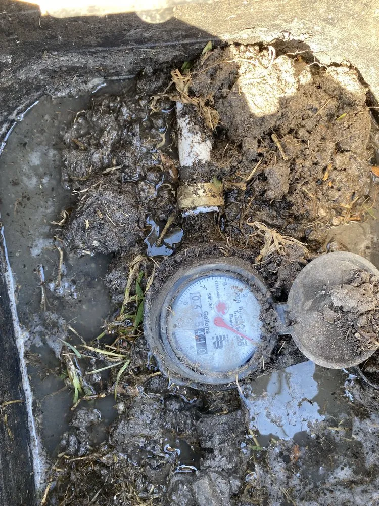 Slide of National Concepts and Remodeling