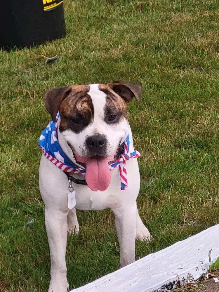 Slide of National Electric