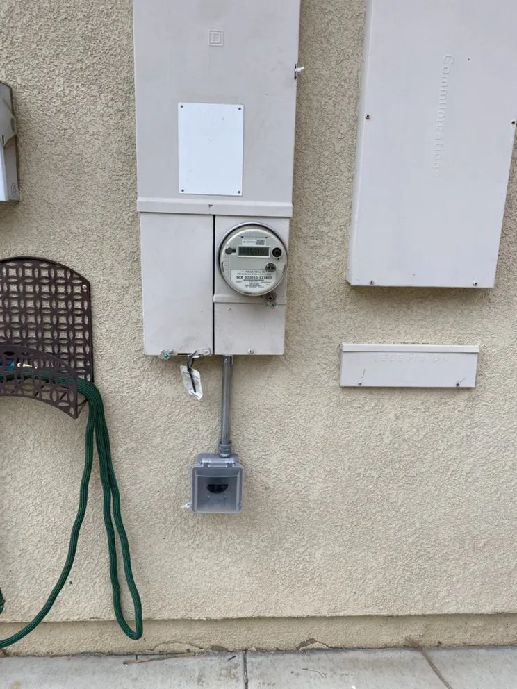 Slide of Native Sons