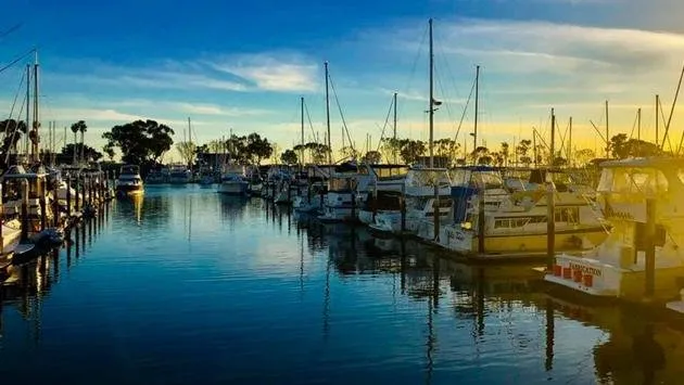 Professional electrical service for homes in circuit breaker repair,  by 