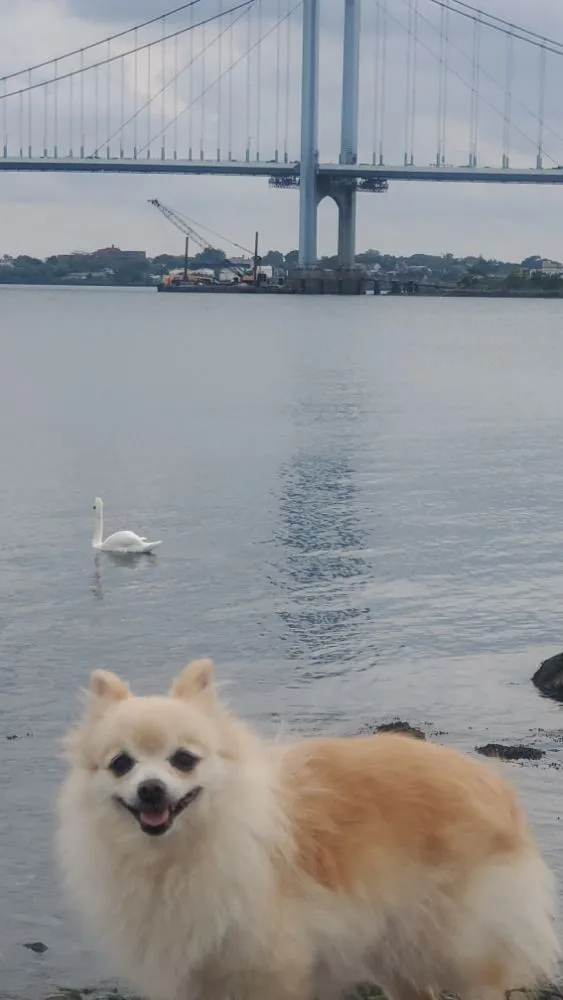 Slide of Navarro Electrical Contractors