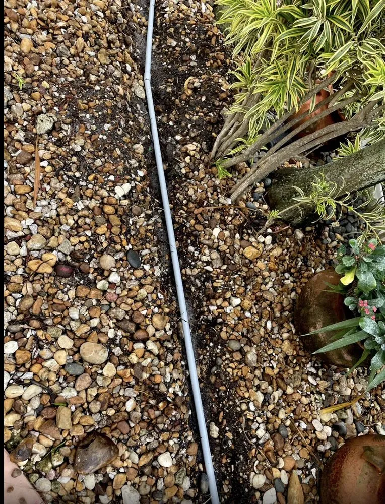 Slide of Neighbor Electric