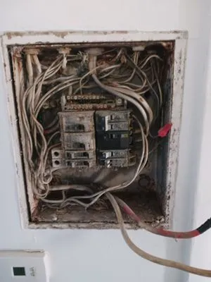 Neighborhood Electric Logo