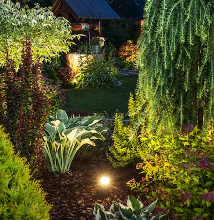 Slide of Neighborhood Electrical