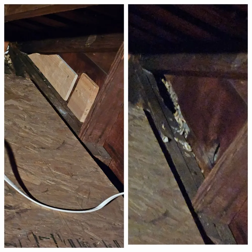 Slide of Neighborhood Handyman