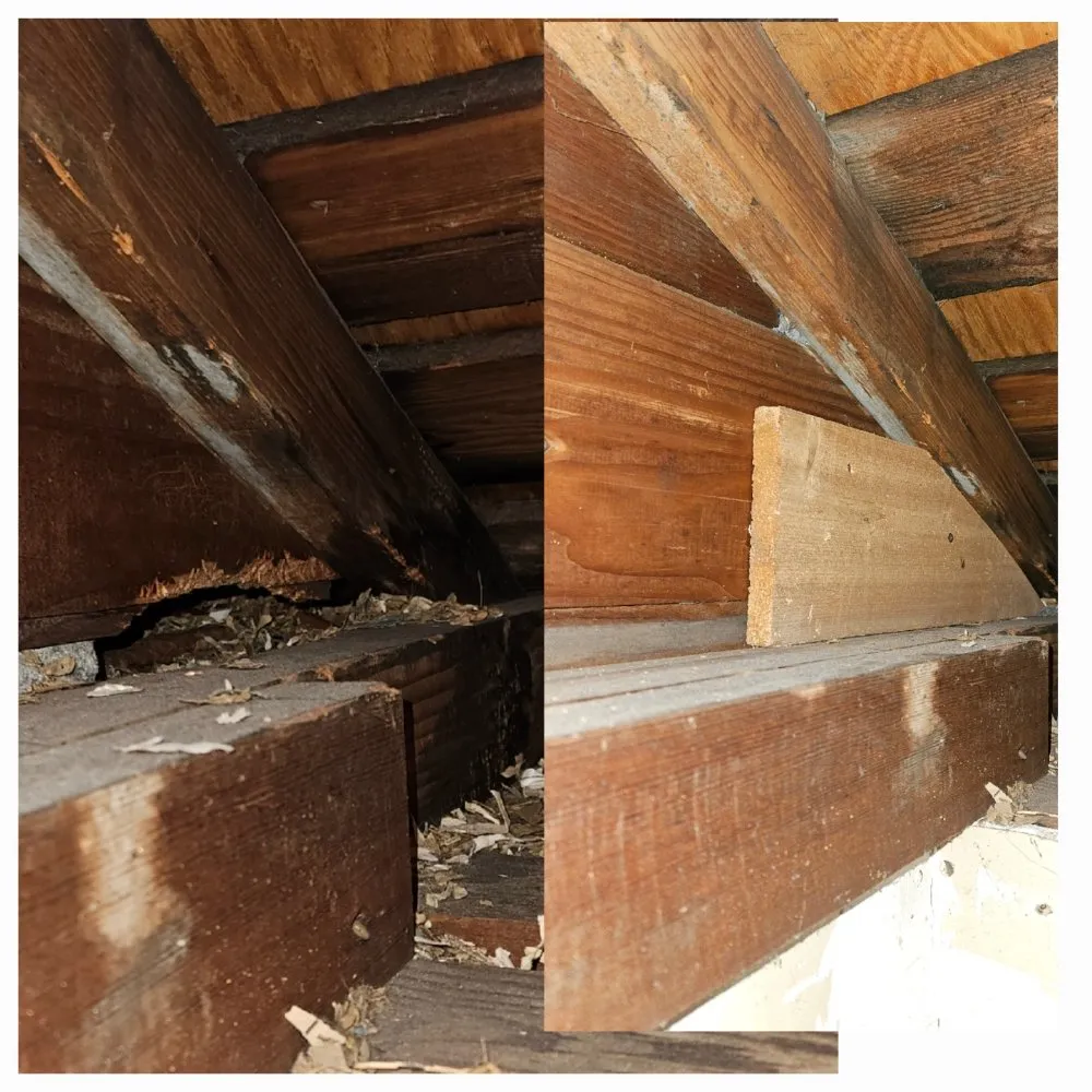 Slide of Neighborhood Handyman