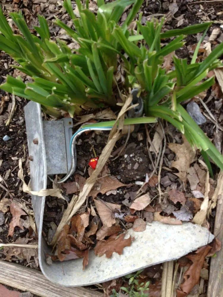 Expert electrician providing electrical repair in ,