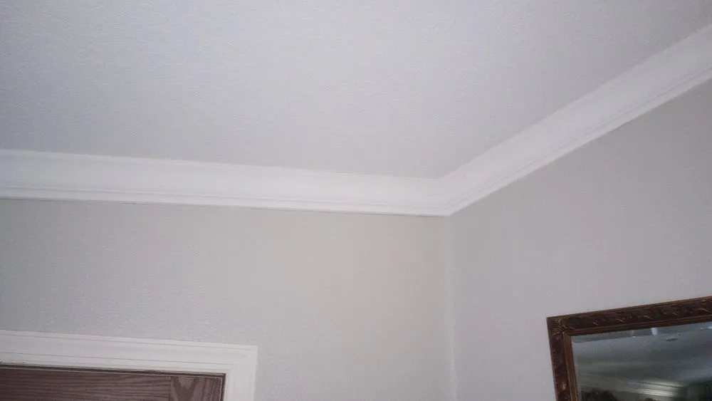 Professional electrician providing outlet and switch repair in Land O' Lakes, FL - NEST E&D