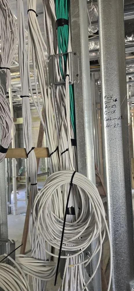 Slide of Neuron Electric