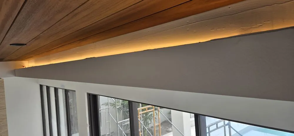 Slide of Neuron Electric