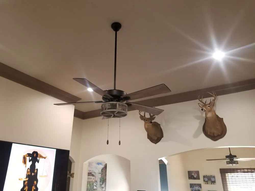 Slide of Neutral Ground Electric