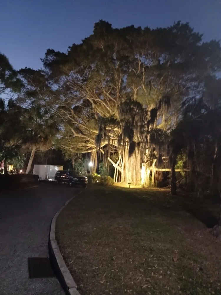 Slide of New Dawn Electric