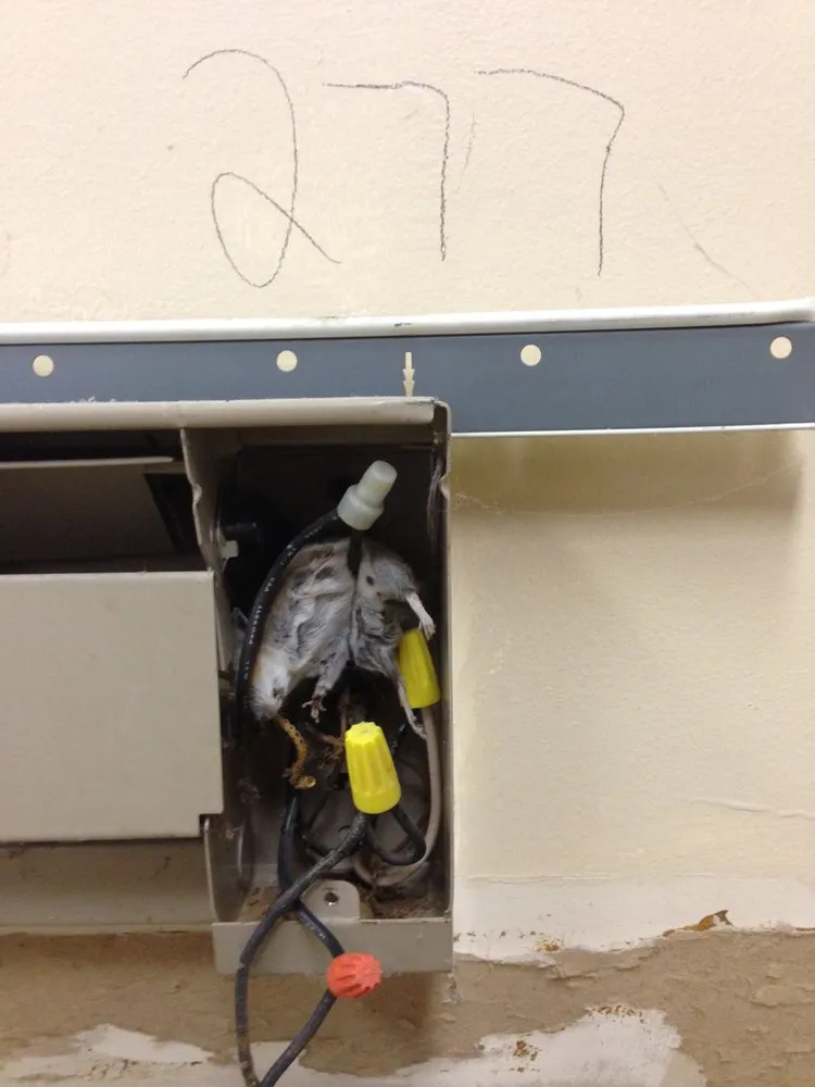 Slide of New Egypt Electric