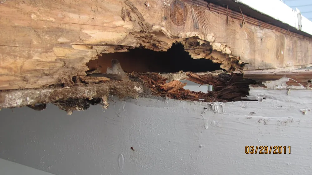 Slide of New Generation