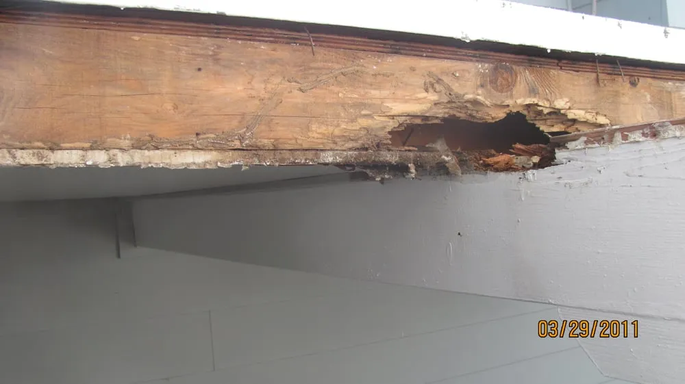 Slide of New Generation