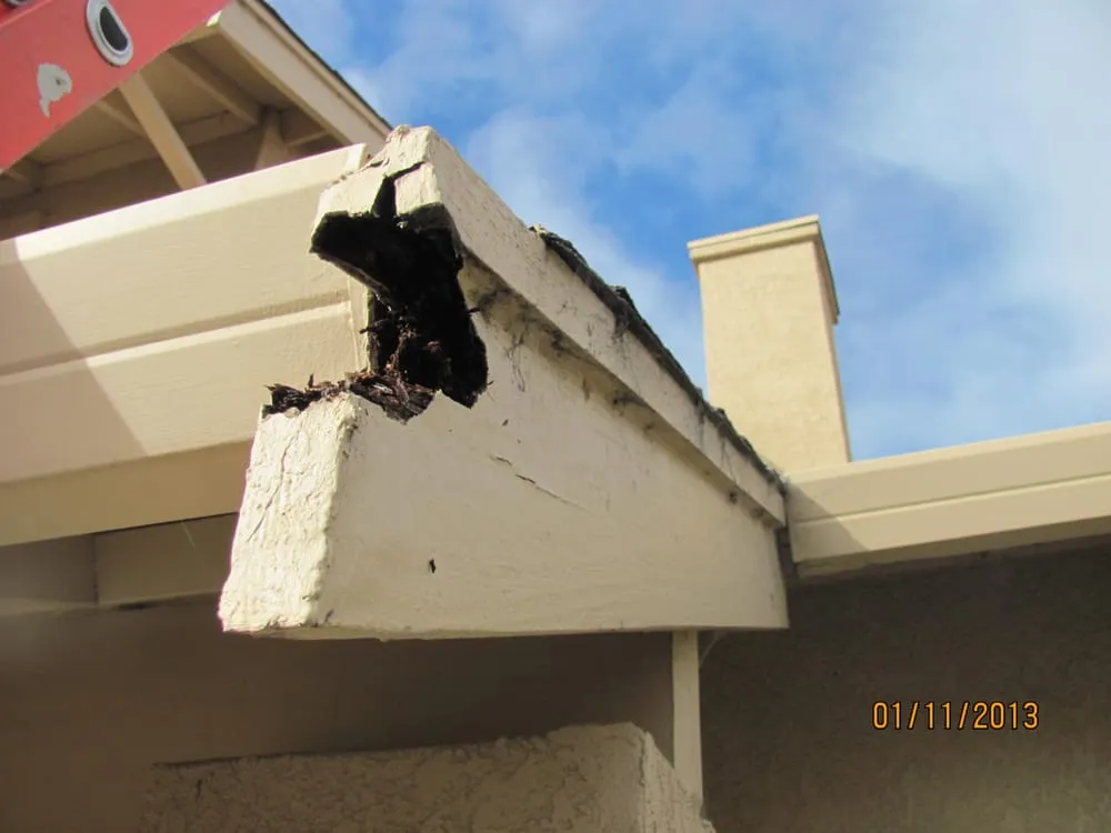 Slide of New Generation