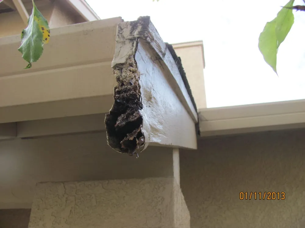 Slide of New Generation