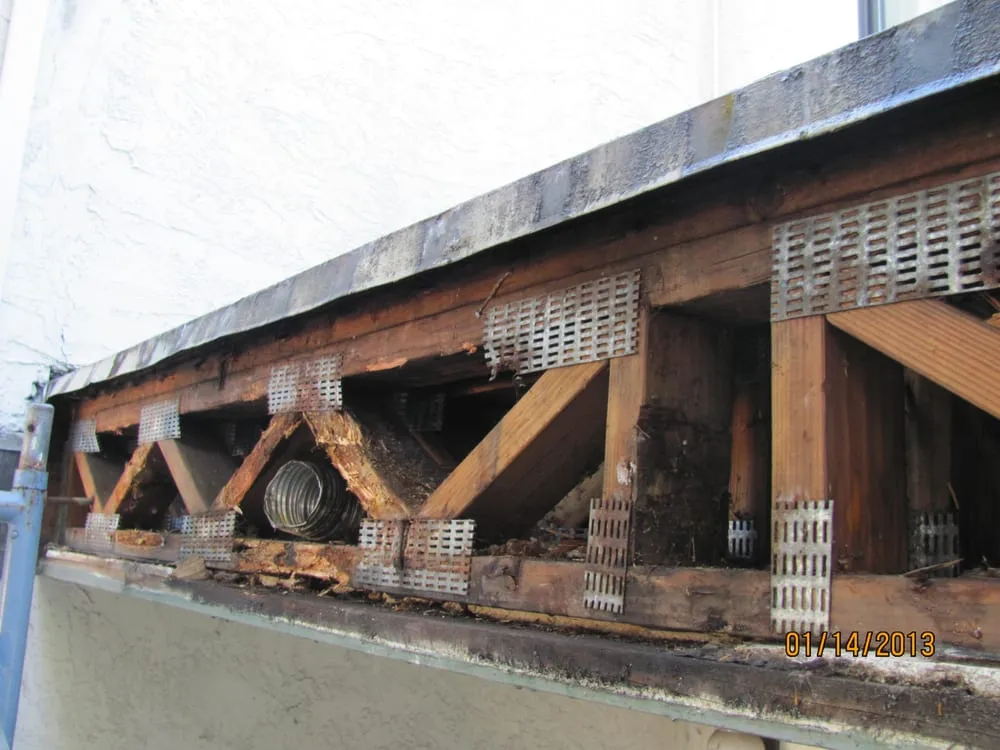 Slide of New Generation