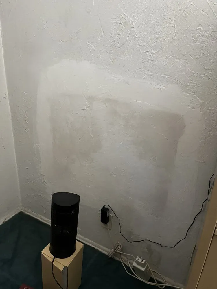 Slide of New Light Electric