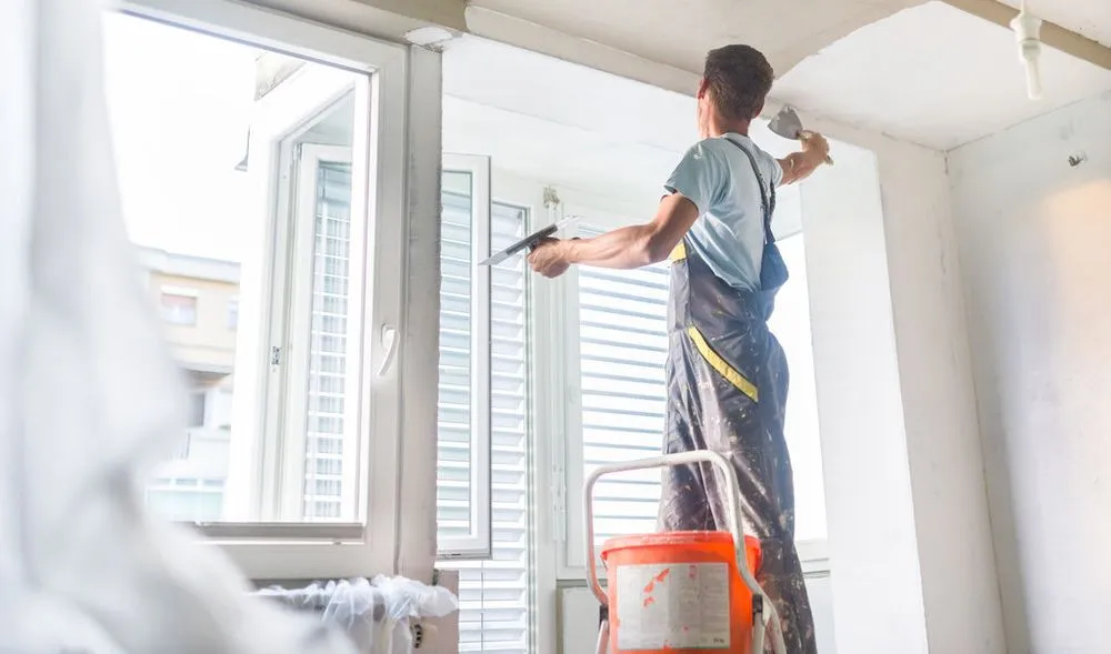 Slide of New York Blue Bird Decor