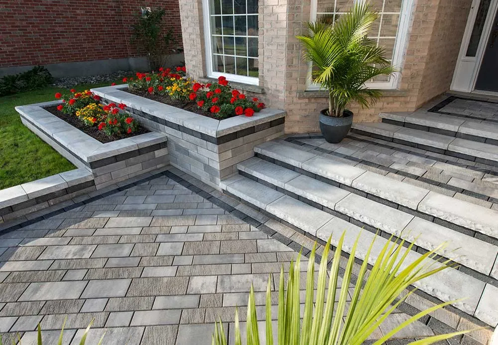 Slide of New York Blue Bird Decor