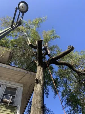 Newsomes Contracting