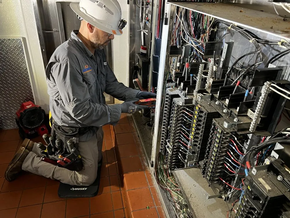 Professional electrical service for homes in wiring installation,  by 