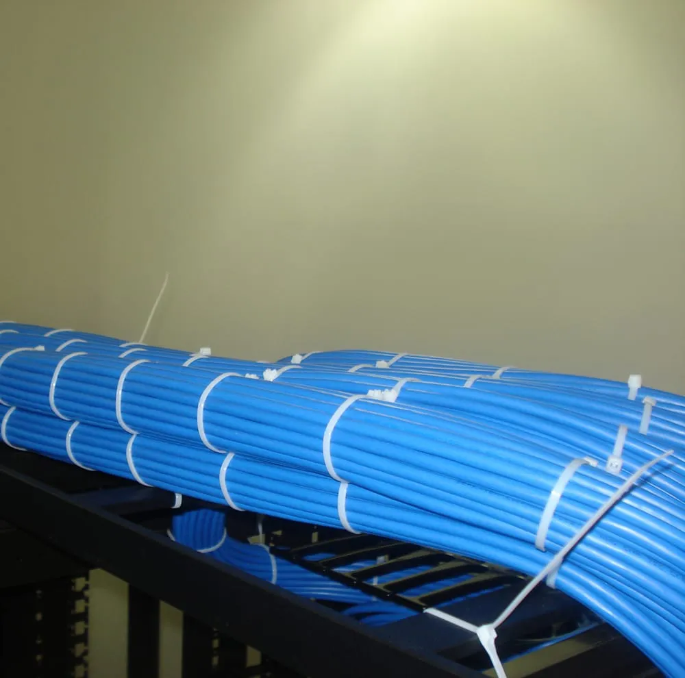 Slide of Next Level Systems