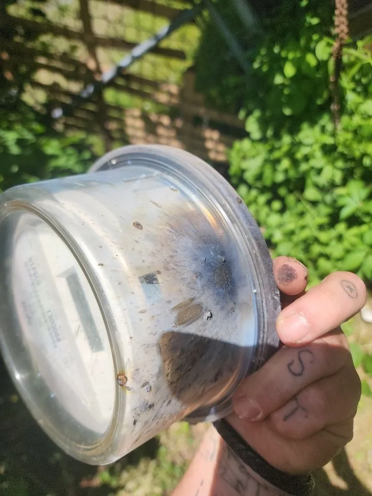 Slide of NGR Electric