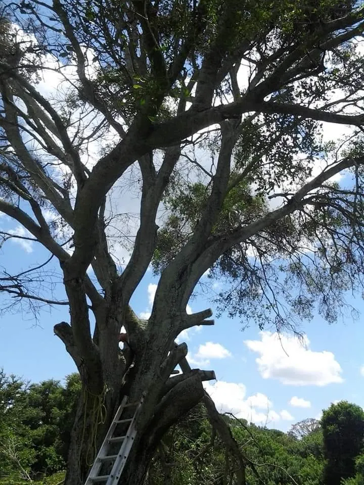 Slide of Niemann Brothers Services