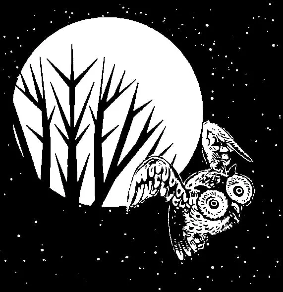 Slide of Night Owl Electric